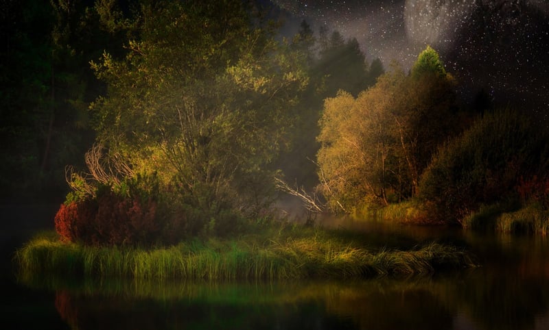 Fairytale Lighting