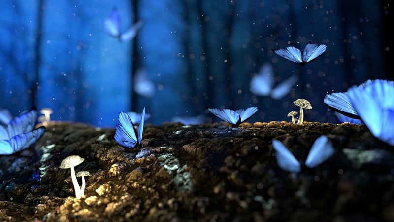 Magical Forest